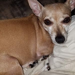 Tag listing comments when I share ur items only